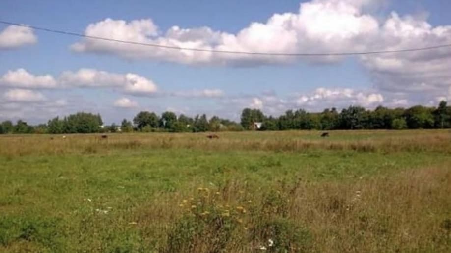 Красная поляна