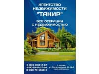 Танир